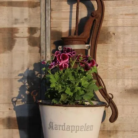 Alpehytte De Ooievaar Op Oudesluis (North Holland)