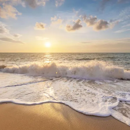 De Ooievaar Op Dağ evi