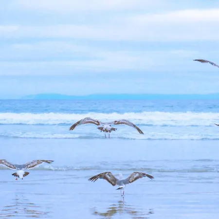 De Ooievaar Op Oudesluis (North Holland)