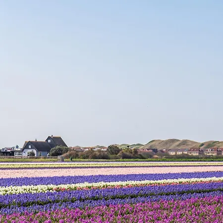 De Ooievaar Op