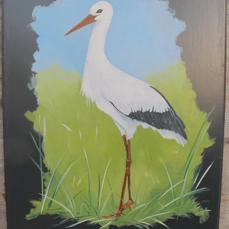 De Ooievaar Op *