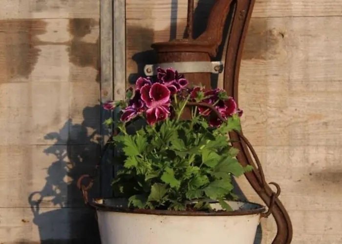 샬레 De Ooievaar Op Oudesluis (North Holland)