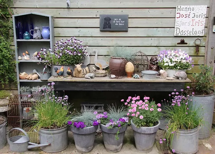 De Ooievaar Op 샬레 Oudesluis (North Holland)