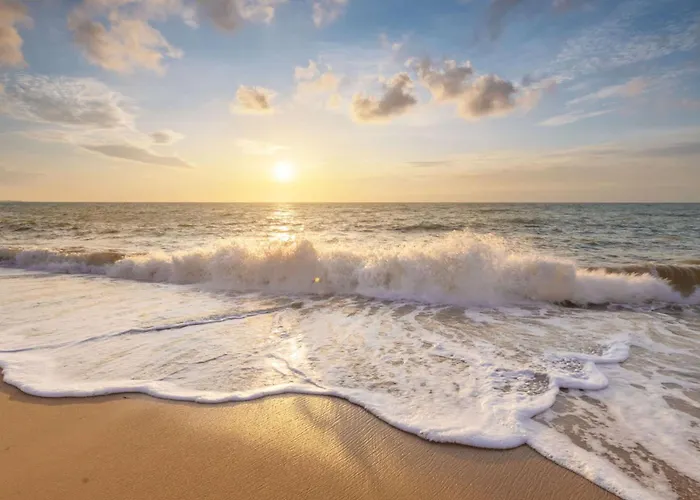 De Ooievaar Op 샬레